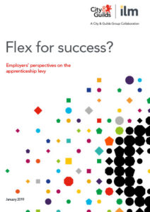 Flex for Success report