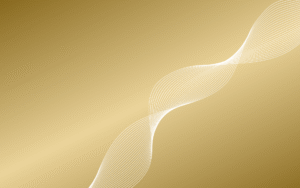 Foundation Impact Report